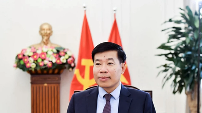 Antes de la visita de Estado a la India del Secretario General y Presidente To Lam: Un hito que configura el marco de las relaciones entre Vietnam e India a un nivel superior.