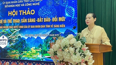 지적 재산권과 스포츠 워크숍: 준비 - 시작 - 혁신