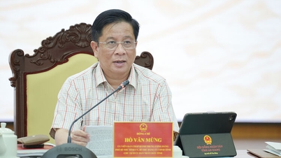 Ordförande för An Giangs provinsfolkkommitté, Ho Van Mung: Granska och strikt hantera överskottstillgångar och markanläggningar.