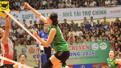 Siste program for VTV9 - Binh Dien internasjonale kvinnevolleyballturnering 2026: Spennende!
