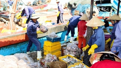 Uitdagingen bij de export van visproducten