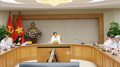 Quy định rõ cơ chế về dịch vụ hấp thụ và lưu giữ các-bon của rừng