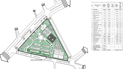 Auction of a 35,108m² plot of land for building a high-quality multi-level school for 450 billion VND.