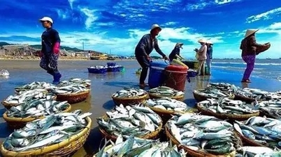 Развитие «голубой» и устойчивой морской экономики.