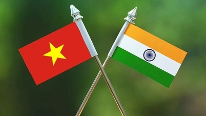 A vietnami-indiai kereskedelmi és befektetési együttműködés új szintre emelése.