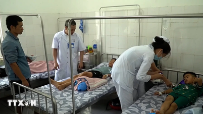 Vermoedelijk geval van voedselvergiftiging in Quang Tri: veel patiënten zijn inmiddels uit het ziekenhuis ontslagen.
