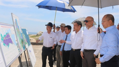 Delegace velvyslanectví Spojených arabských emirátů ve Vietnamu prozkoumala potenciál investiční spolupráce ve východní části provincie Dak Lak.