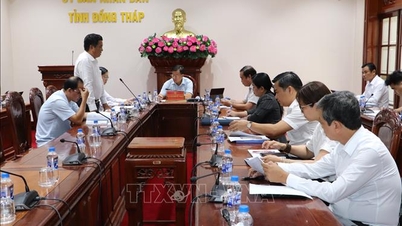 Bàn giải pháp gỡ khó cho sản xuất và xuất khẩu sầu riêng