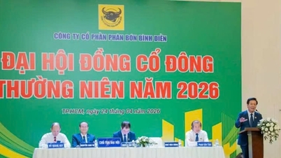 빈디엔 비료 주식회사: 전략적 솔루션에 집중