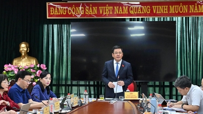 Místopředseda Národního shromáždění Nguyen Hong Dien spolupracuje se stálým výborem Výboru pro vědu, technologie a životní prostředí Národního shromáždění.
