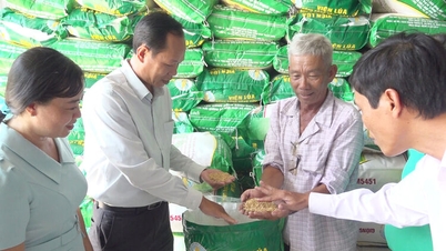 Trồng lúa: Không đổi cách, khó có lời