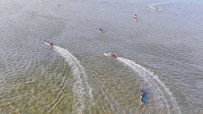 Musim memancing yang sibuk berhampiran pantai.