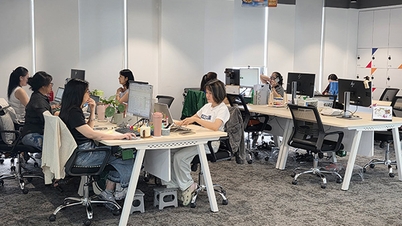 Da Nang: Der Büromietmarkt beginnt sich zu erholen.