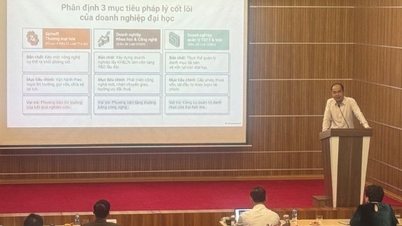Commercializzazione della ricerca universitaria: superare la "valle della morte" attraverso un ecosistema professionale.