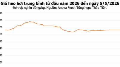 5 Mayıs, bugünkü domuz eti fiyatları: Kuzeyde hafif bir artış görüldü, Dong Nai bölgesinde fiyat 70.000 VND/kg seviyesinde sabit kaldı.
