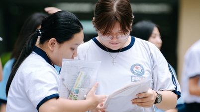 Tingkat penerimaan siswa kelas 10 di Kota Ho Chi Minh berfluktuasi: Haruskah Anda mengubah pilihan Anda untuk opsi yang lebih aman?
