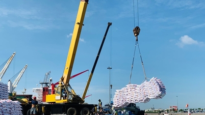 Ceny nawozów dzisiaj, 5 maja 2026 r.: Stabilne na całej linii.