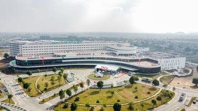 Bach Mai Hospital and Viet Duc Hospital's second facility in Ninh Binh are expected to begin operations in the second quarter of 2026.