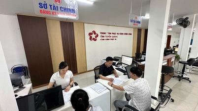 គោលនយោបាយគាំទ្រសហគ្រាសធុនតូច និងមធ្យមនៅខេត្ត Tuyen Quang សម្រាប់រយៈពេល ២០២៦-២០៣០