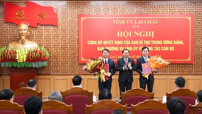 Announcement of the decision to approve the Chairman of the Lai Chau Provincial Party Committee's Inspection Committee.