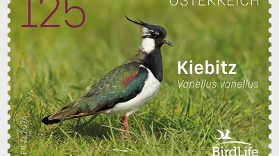 Austrian Post telah mengeluarkan setem yang memaparkan burung Northern Plover.