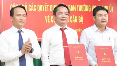 Der stellvertretende Direktor des Ministeriums für Landwirtschaft und Umwelt wurde zum Parteisekretär einer Berggemeinde in Da Nang ernannt.