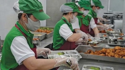 Colmare le lacune nella catena alimentare per prevenire gli avvelenamenti.