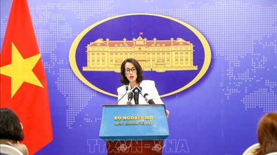 ہم مطالبہ کرتے ہیں کہ چین پارسل جزائر پر ویتنام کی خودمختاری کا احترام کرے۔