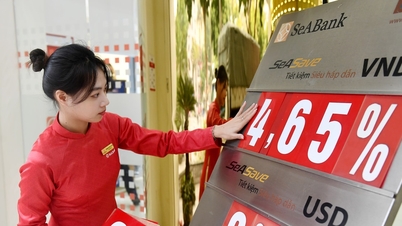 Lãi suất ngân hàng ngày 5/5/2026: 20 nhà băng niêm yết mức kịch trần 4,75%