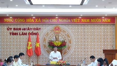 Lam Dong mempercepat targetnya untuk mencapai pertumbuhan "dua digit".
