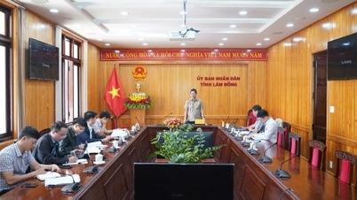 Provinsi Lam Dong mempercepat proses penyesuaian perencanaan provinsi.