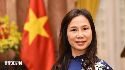Nuevo impulso para las relaciones entre Vietnam y Sri Lanka.