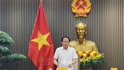 Cổng Pháp luật quốc gia cung cấp dịch vụ pháp lý, phục vụ nhân dân miễn phí