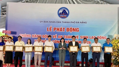 Da Nang Port was honored to receive a Certificate of Commendation from the Chairman of the People's Committee of Da Nang City for its outstanding achievements in occupational safety and health in 2025.