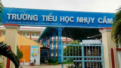Smažená rýže z Jang-čou má podezření, že způsobila otravu jídlem u 63 studentů v Ca Mau.