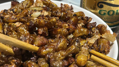 Many people suffered food poisoning after frying and eating cicadas.