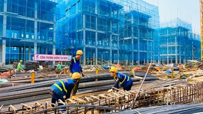 Pasar material membutuhkan kerangka kelembagaan baru agar dapat berkembang.