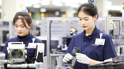 Il Vietnam sta diventando sempre più attraente per i flussi di investimenti diretti esteri di alta qualità.