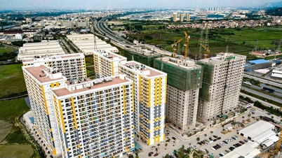 בק נין מציעה לסווג אותה כפרובינציה מסוג I, במטרה להפוך לעיר תחת שלטון מרכזי.
