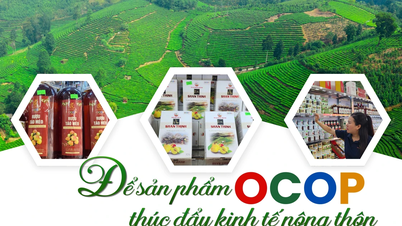Jak využít produkty OCOP k podpoře venkovské ekonomiky.