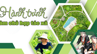 ដំណើរឆ្ពោះទៅរកការក្លាយជាម្ចាស់សហករណ៍