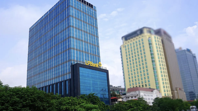 Loc Phat Vietnam Cryptocurrency Exchange (LPEX) har uventet endret navn til Sacom.