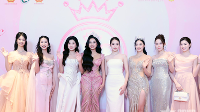 Launching Miss Vietnam 2026: A "Land of Fragrance and Beauty" Connecting Heritage and Modernity