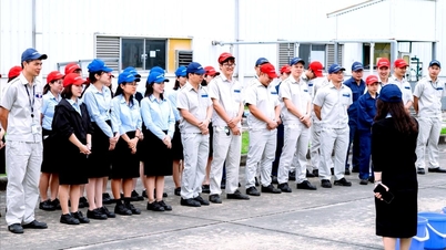 Construir un sistema de seguridad laboral integral desde cero.