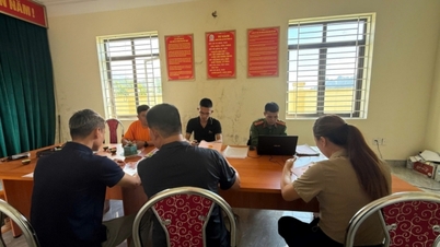 Đặc khu Vân Đồn: 100% hồ sơ cấp sổ đỏ mới được cập nhật VNILIS mức độ 1