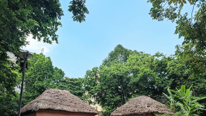 Van Y Tý naar Hanoi: De traditie van het Ha Nhi-huis voortzetten.