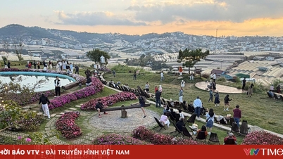 Lam Dong eyaletinin, 2026'daki Hung Kralları Anma Günü'nde yaklaşık 350.000 ziyaretçiyi ağırlaması bekleniyor.