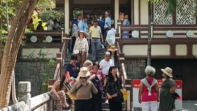 Khanh Hoa: Nach Berichten der Zeitung PNVN sind die Behörden entschlossen, gegen den Straßenhändler an der Long Son Pagode vorzugehen.