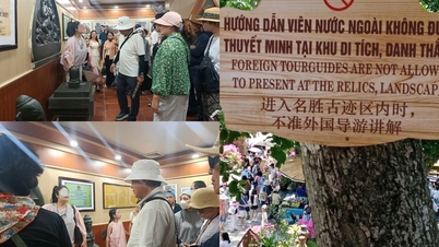 Khanh Hoa: Foreign tour guides circumvent regulations, harassment of tourists recurs.