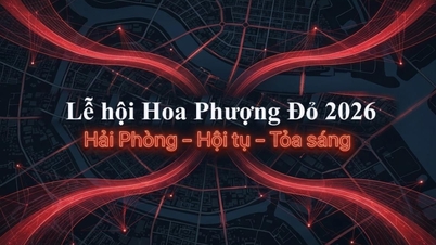 សកម្មភាពពេលយប់ដ៏អស្ចារ្យជាបន្តបន្ទាប់ក្នុងអំឡុងពេលពិធីបុណ្យផ្កាក្រហមដ៏ស្រស់បំព្រង - ហៃផុង ឆ្នាំ២០២៦